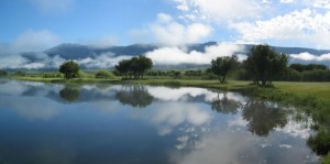 Dads-meadowcreek-pond-shot